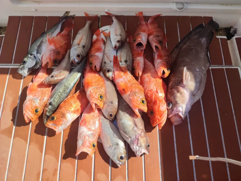 Pesca a bordo del Perla Fisher en Marbella