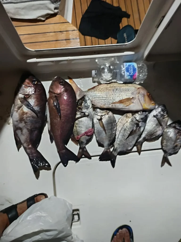 Pesca a bordo del Perla Fisher en Marbella